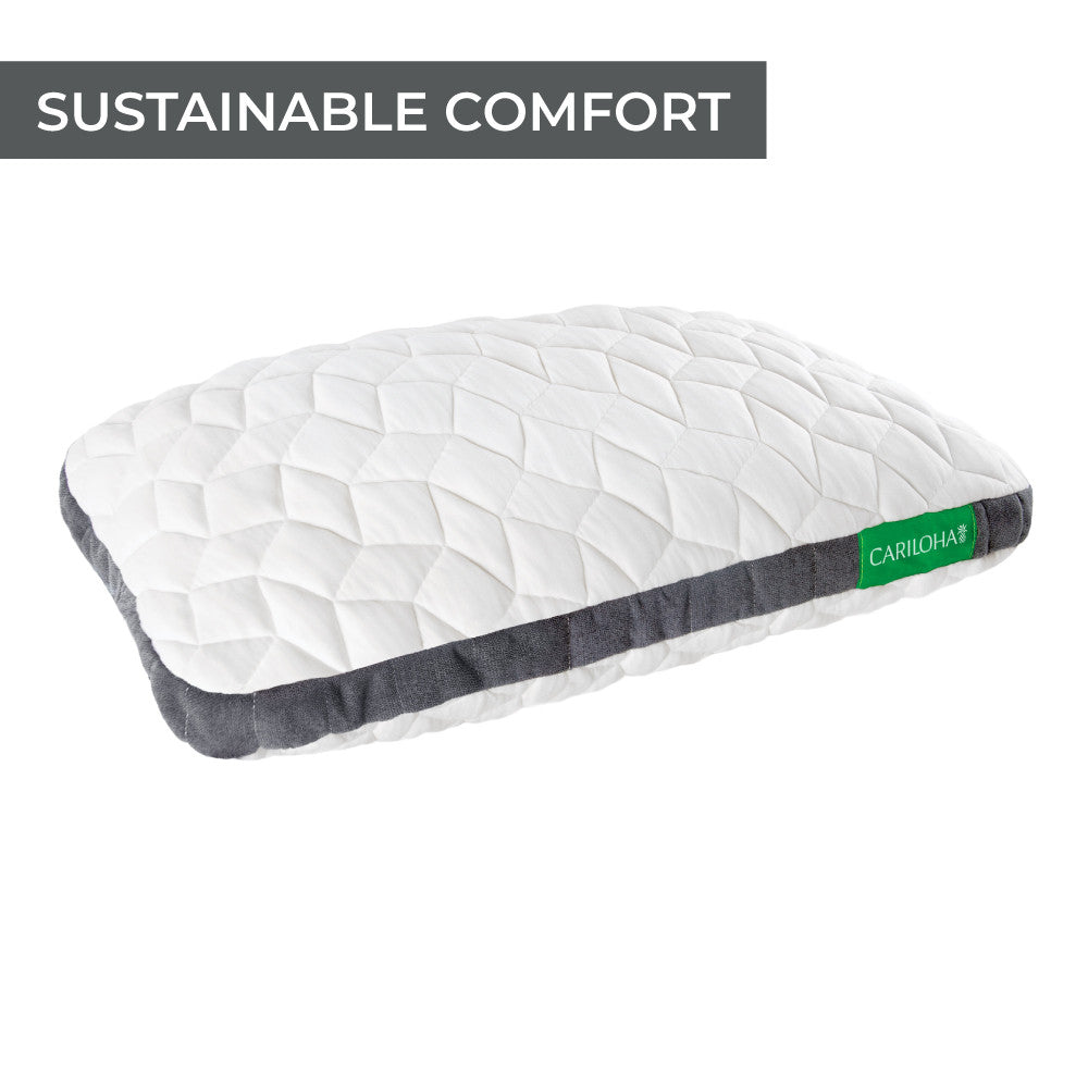 sustainable comfort~Standard