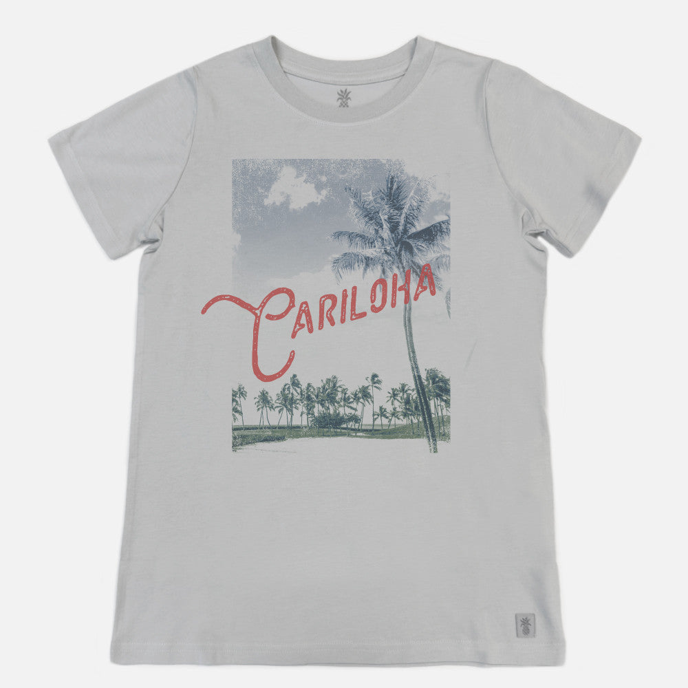 flat front view of silver shore crew tee with our beach landscape design
