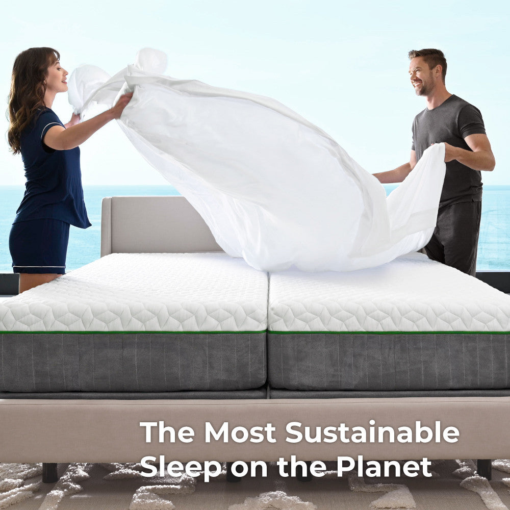 the most sustainable sleep on the planet~Twin