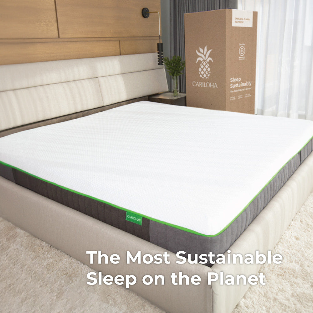 the most sustainable sleep on the planet~Twin XL
