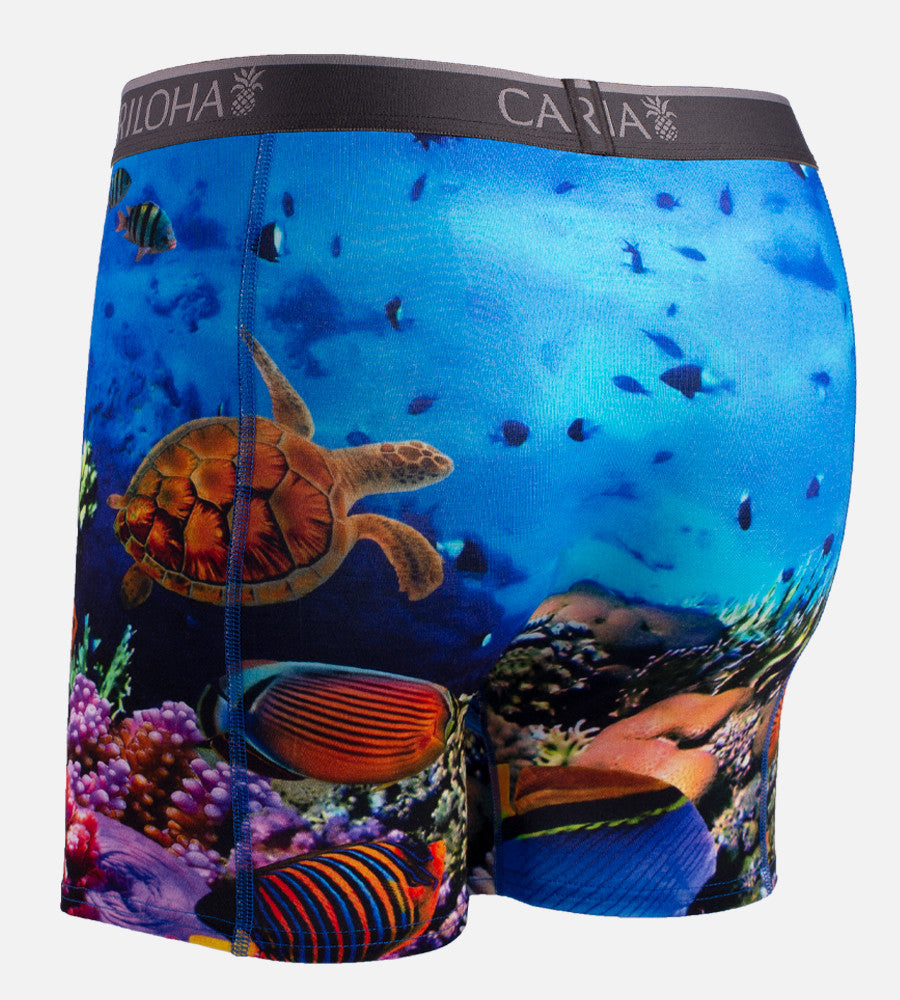 front of ocean scene boxers~Ocean Scene