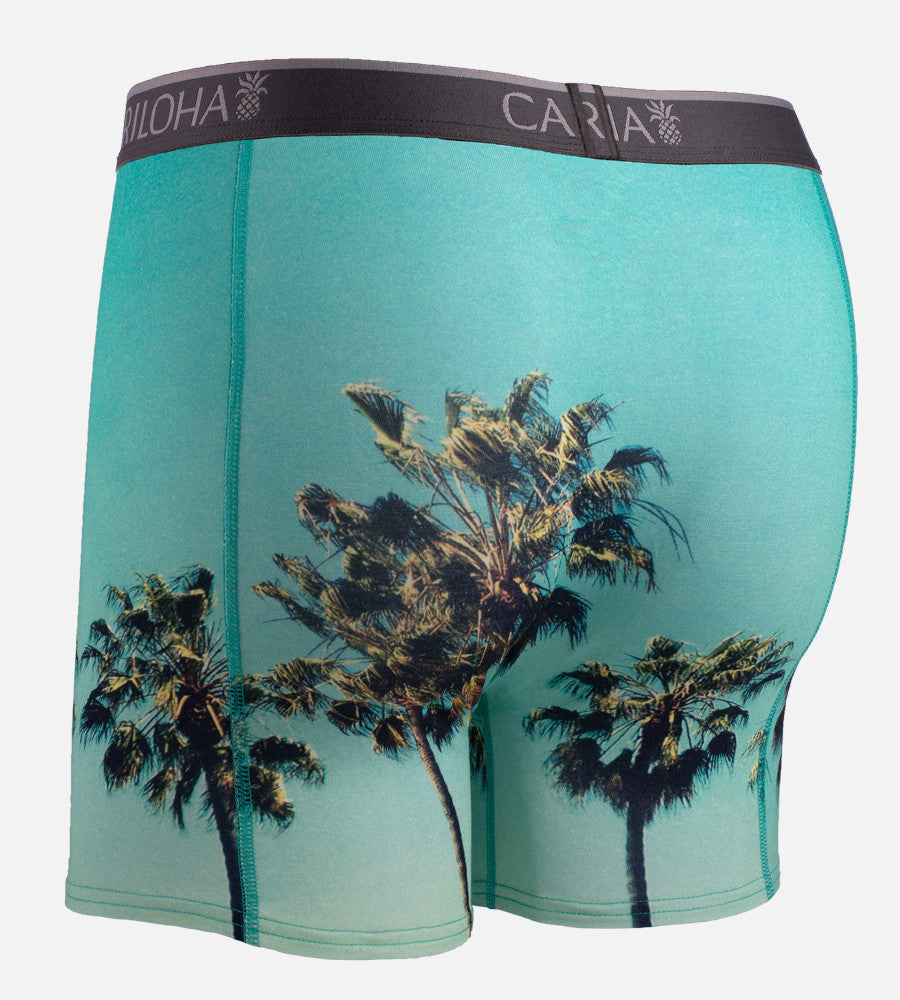 back of sky palm boxers~Sky Palm