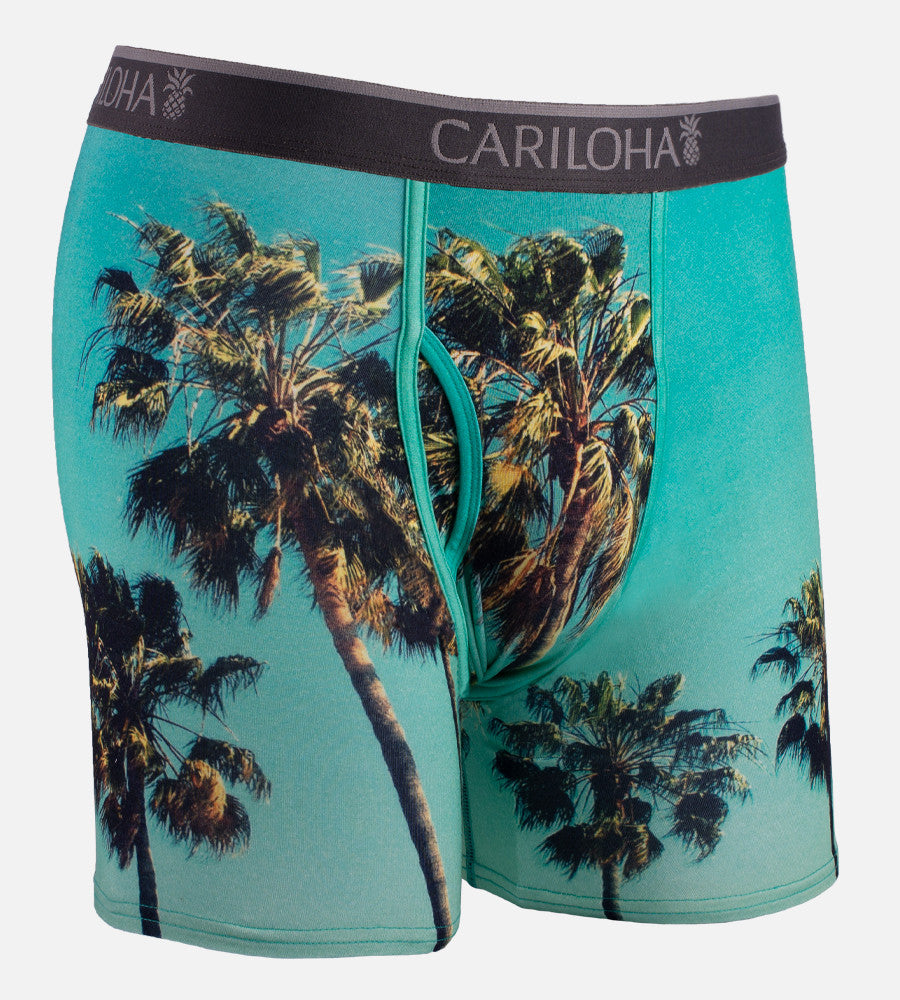 front of sky palm boxers~Sky Palm