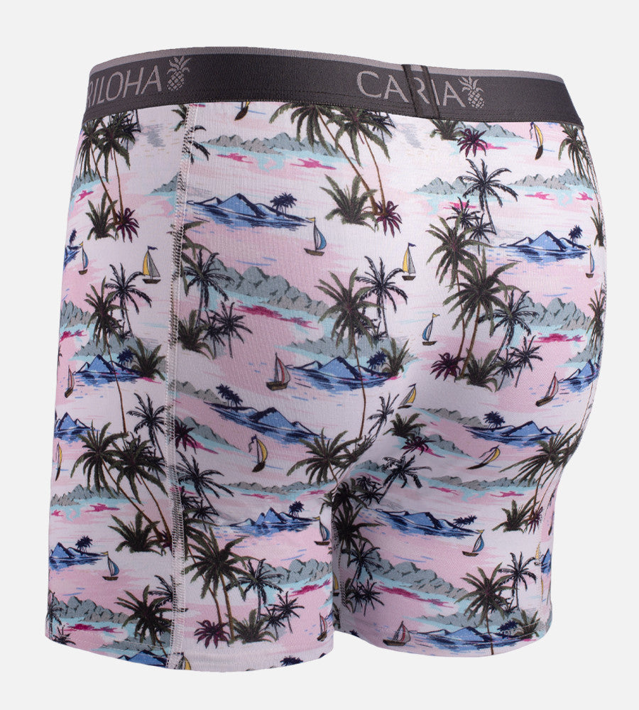 back view of vintage beach print boxers~Vintage Beach
