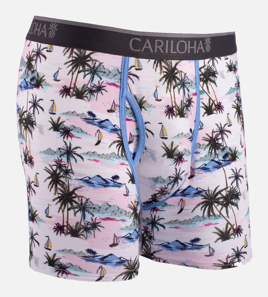 Bamboo Boxer Briefs - Vintage Beach — XL