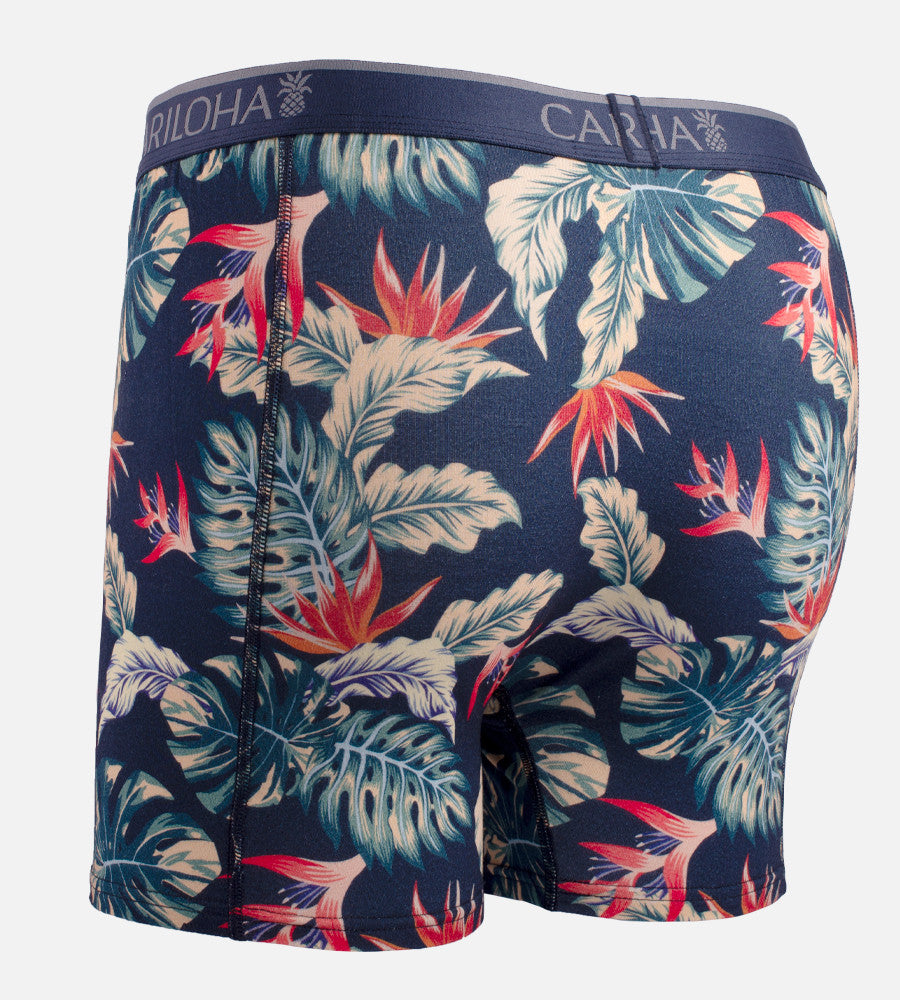 island vintage boxers back