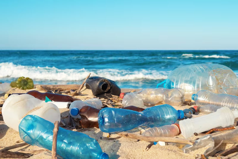 A beach scene with numerous plastic water bottles in blue, white, and clear plastic lying on the sandy shore, with ocean waves and a blue sky in the background.