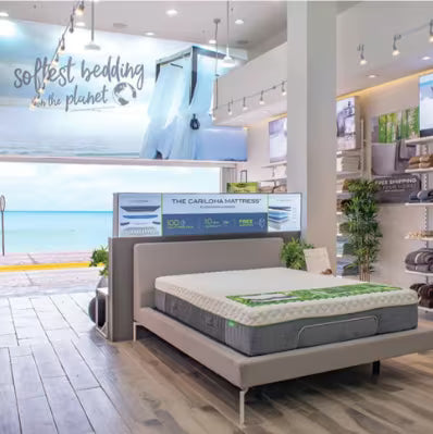 A bed with a mattress displayed in a modern Cariloha showroom interior. The bed frame is light gray, and the mattress has a white top with green accents.